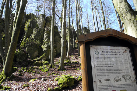 Am Hochberg &ndash; (VGN &copy;&nbsp;VGN GmbH)