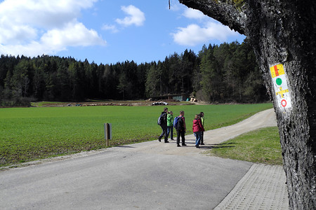 Am Ortsausgang Waizenfeld &ndash; (VGN &copy;&nbsp;VGN GmbH)