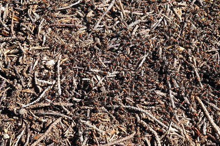 Wildlife &ndash; (VGN &copy;&nbsp;VGN GmbH)