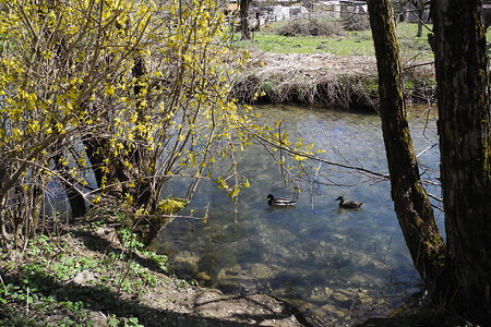 Der Högenbach in Hartmannshof &ndash; (VGN &copy;&nbsp;VGN GmbH)