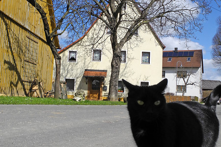 Wildlife &ndash; (VGN &copy;&nbsp;VGN GmbH)