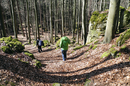 An der Tafel "Der Hochberg in der Jungsteinzeit" rechts abbiegen &ndash; (VGN &copy;&nbsp;VGN GmbH)