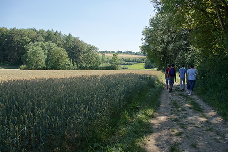 Fünf-Seidla-Steig®: Zwischen Hohenschwärz und Gräfenberg &ndash; (VGN &copy;&nbsp;VGN GmbH)