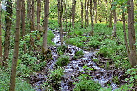 Im Todsfelder Tal &ndash; Verlängerung der Tour am Wasser entlang... (VGN &copy;&nbsp;VGN GmbH)
