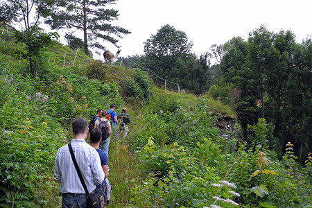 Wanderer und Lama am Thuisbrunner Leitenweg &ndash; (19.07.2012, VGN &copy;&nbsp;VGN GmbH)