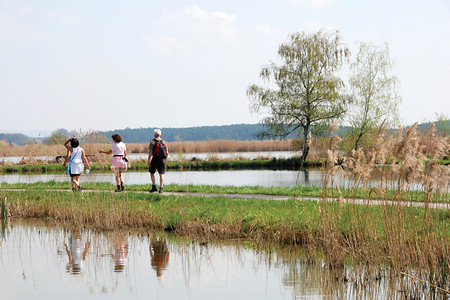 Unterwegs &ndash; (VGN &copy;&nbsp;VGN GmbH, Landratsamt Erlangen-Höchstadt,)