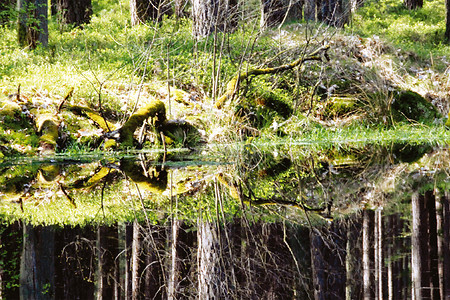 Gewässer &ndash; (VGN &copy;&nbsp;VGN GmbH)