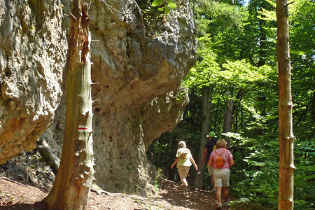 Am Eibgrat &ndash; (06.07.2014, VGN &copy;&nbsp;VGN GmbH)