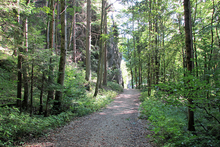 Wanderweg &ndash; (VGN &copy;&nbsp;VGN GmbH)