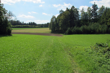 Über Wiesen... &ndash; (VGN &copy;&nbsp;VGN GmbH)