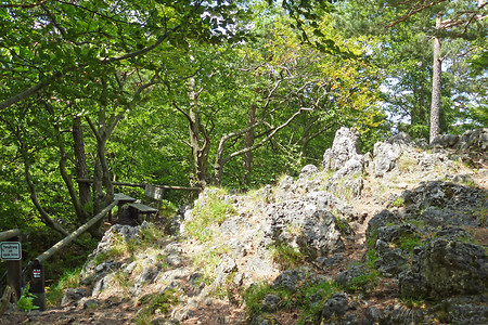 Eibgrat &ndash; (06.07.2014, VGN &copy;&nbsp;VGN GmbH)