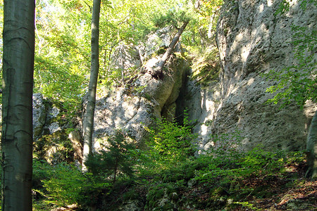 Felsen am Eibgrat &ndash; (VGN &copy;&nbsp;VGN GmbH)