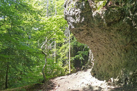 Felsen am Eibgrat &ndash; (06.07.2014, VGN &copy;&nbsp;VGN GmbH)