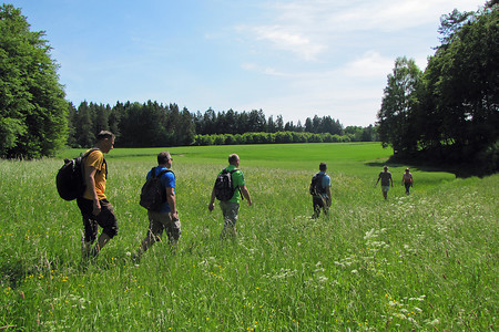 Über die Wiesen... &ndash; (25.05.2014, VGN &copy;&nbsp;VGN GmbH)