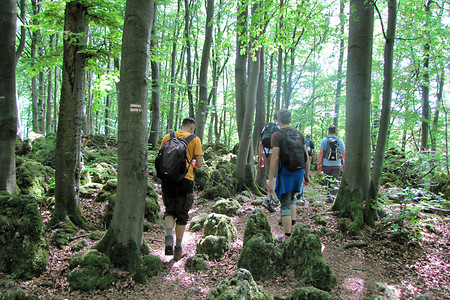 Unterwegs am Eibgrat &ndash; (25.05.2014, VGN &copy;&nbsp;VGN GmbH)