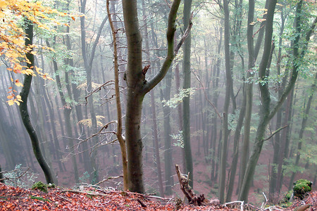 Blick vom Eibgrat &ndash; (VGN &copy;&nbsp;VGN GmbH)