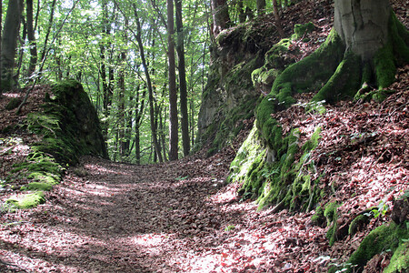 Wanderweg &ndash; (VGN &copy;&nbsp;VGN GmbH)