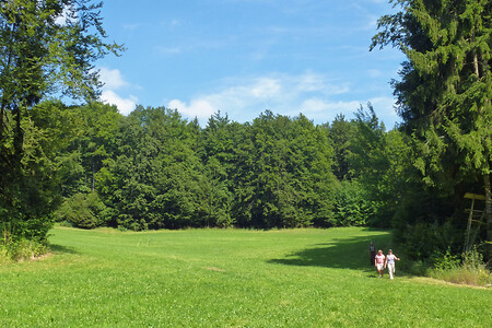 Ankatal &ndash; (06.07.2014, VGN &copy;&nbsp;VGN GmbH)