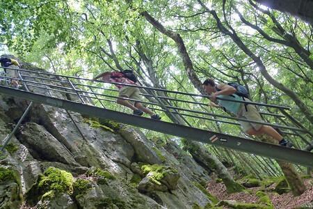Eibgrat-Leiter &ndash; (06.07.2014, VGN &copy;&nbsp;VGN GmbH)