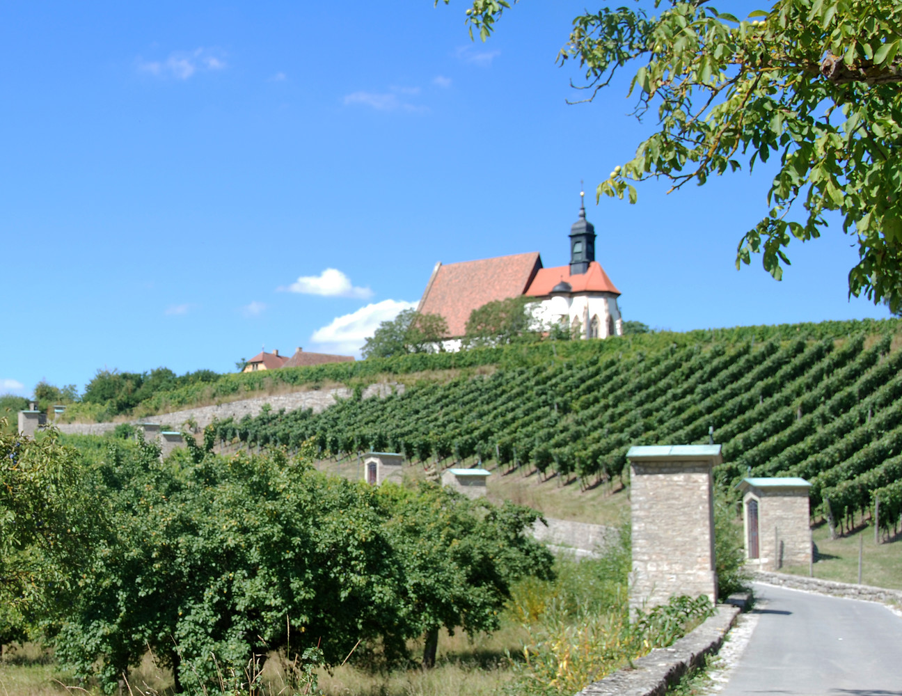 Maria im Weingarten &ndash;  (03.09.2016, VGN &copy;&nbsp;VGN GmbH)