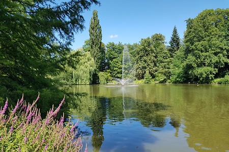 Röhrensee mit Bootsverleih &ndash; (16.07.2019, S. Dassler &copy;&nbsp;VGN GmbH)