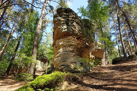 Auf dem Buchstein &ndash; (16.07.2019, S. Dassler &copy;&nbsp;VGN GmbH)
