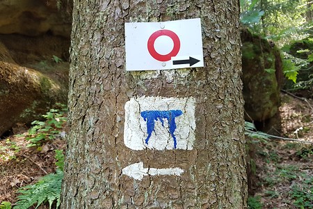 Wegemarkierung &ndash; (16.07.2019, S. Dassler &copy;&nbsp;VGN GmbH)