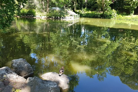 Röhrensee &ndash; (16.07.2019, S. Dassler &copy;&nbsp;VGN GmbH)