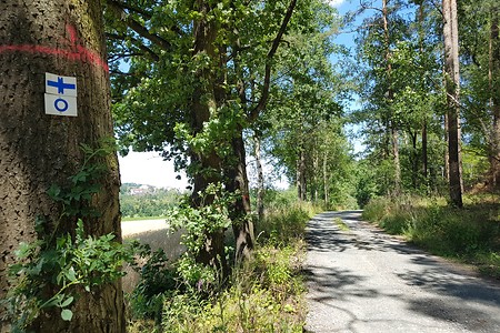 Richtung Bayreuth &ndash; (16.07.2019, S. Dassler &copy;&nbsp;VGN GmbH)