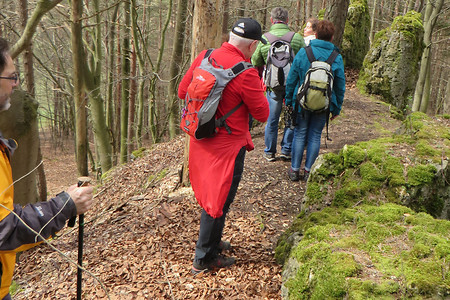 Grat am Buchenberg &ndash; (11.08.2016, VGN &copy;&nbsp;VGN GmbH)