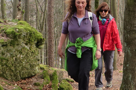 Hinauf zum Buchenberg &ndash; (11.08.2016, VGN &copy;&nbsp;VGN GmbH)