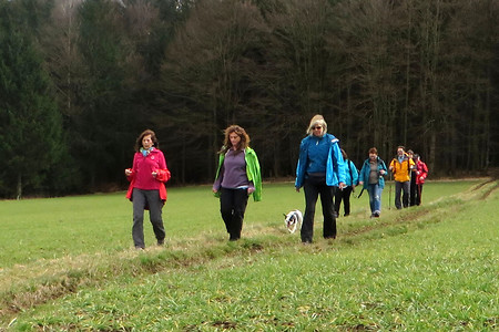 Abwärts nach Lehendorf &ndash; (11.08.2016, VGN &copy;&nbsp;VGN GmbH)