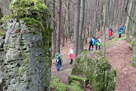 Grat am Buchenberg 2 &ndash; (11.08.2016, VGN &copy;&nbsp;VGN GmbH)