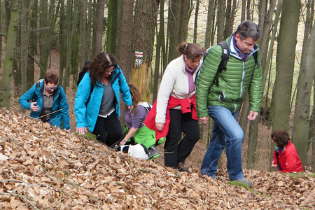 Am Buchenberg &ndash; (11.08.2016, VGN &copy;&nbsp;VGN GmbH)
