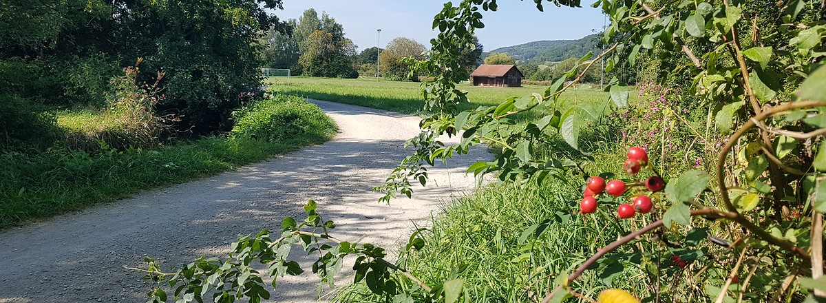 Herbstliches am Wegesrand &ndash;  (14.09.2019, S. Dassler &copy;&nbsp;VGN GmbH)