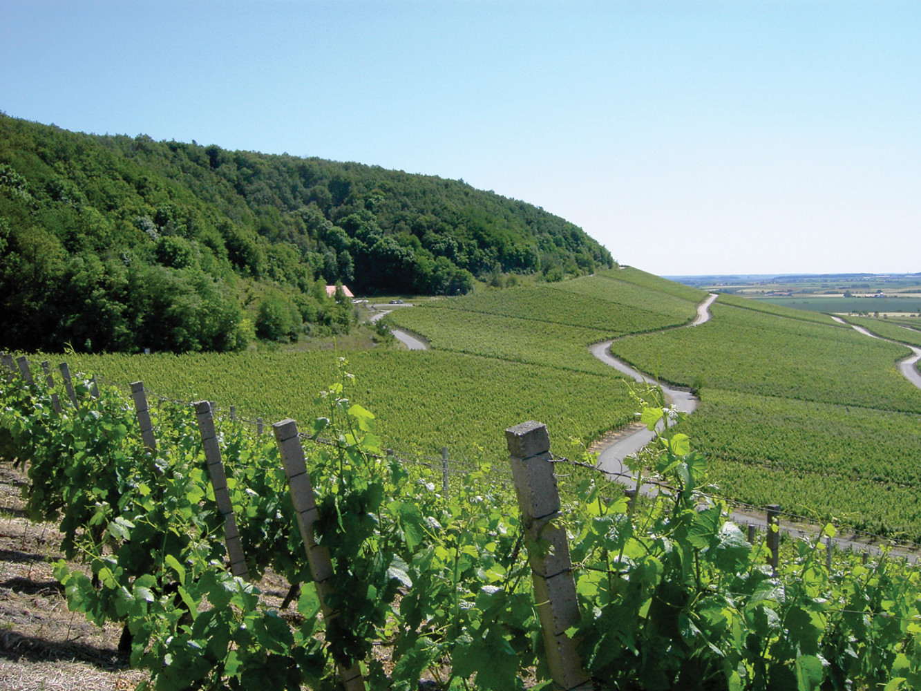 Im Weinparadies (EN) &ndash;  (VGN &copy;&nbsp;VGN GmbH)