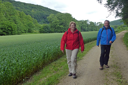 im Traunfelder Talgrund &ndash; (26.06.2013, VGN &copy;&nbsp;VGN GmbH)