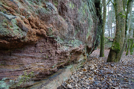 Sandsteinfelsen am Steinbrüchlein &ndash; (VGN &copy;&nbsp;VGN GmbH)