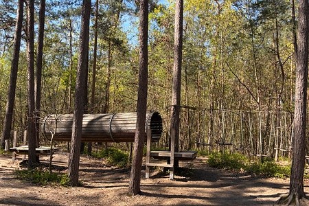 Der Niedrigseilgarten beim Steinbrüchlein &ndash; (&copy;&nbsp;Jutta Bär)