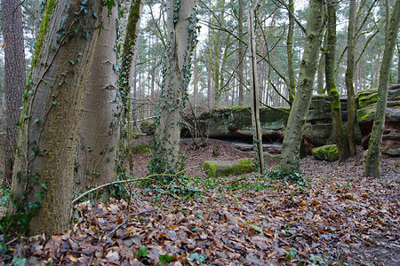 Sandsteinfelsen am Steinbrüchlein &ndash; (VGN &copy;&nbsp;VGN GmbH)