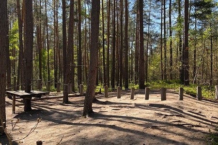 Besser schwindelfrei! Der Niedrigseilgarten beim Steinbrüchlein &ndash; (&copy;&nbsp;Jutta Bär)