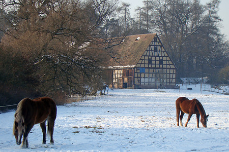Königshof im Winter &ndash; (VGN &copy;&nbsp;VGN GmbH)