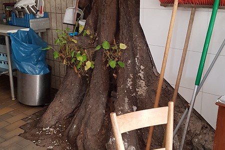 Linde in der Gasthausküche &ndash; (14.09.2019, S. Dassler &copy;&nbsp;VGN GmbH)