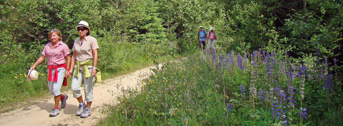 Auf der alten Bahntrasse &ndash;  (VGN &copy;&nbsp;VGN GmbH)