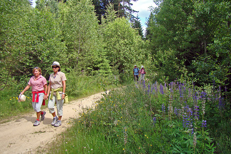 Auf der alten Bahntrasse &ndash; (VGN &copy;&nbsp;VGN GmbH)
