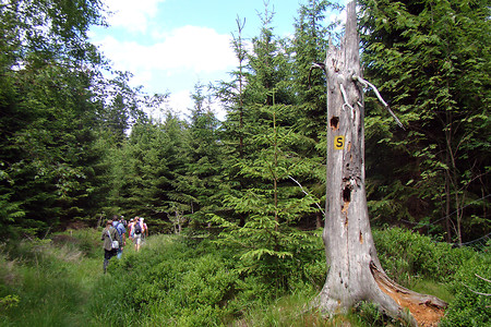 Auf dem "Südweg" &ndash; (VGN &copy;&nbsp;VGN GmbH)