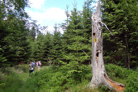 Auf dem "Südweg" &ndash; (VGN &copy;&nbsp;VGN GmbH)
