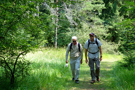 Waldpfad zur Hohen Metze &ndash; (VGN &copy;&nbsp;VGN GmbH)