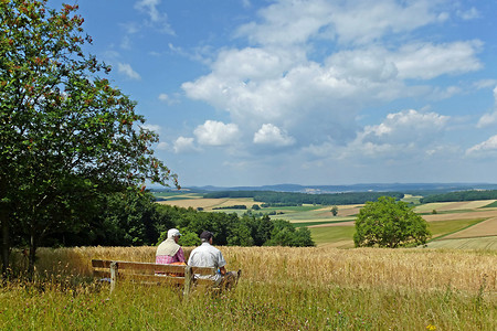 Blick ins Maintal &ndash; (01.07.2014, VGN &copy;&nbsp;VGN GmbH)