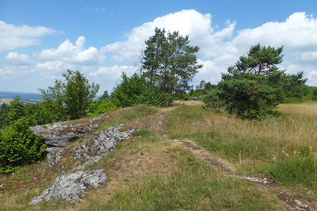 Landschaftsschutzgebiet Hohe Metze &ndash; (VGN &copy;&nbsp;VGN GmbH)